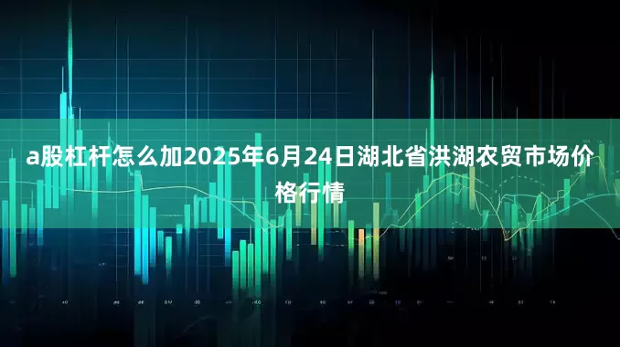 a股杠杆怎么加2025年6月24日湖北省洪湖农贸市场价格行情