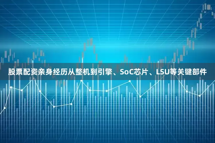 股票配资亲身经历从整机到引擎、SoC芯片、LSU等关键部件