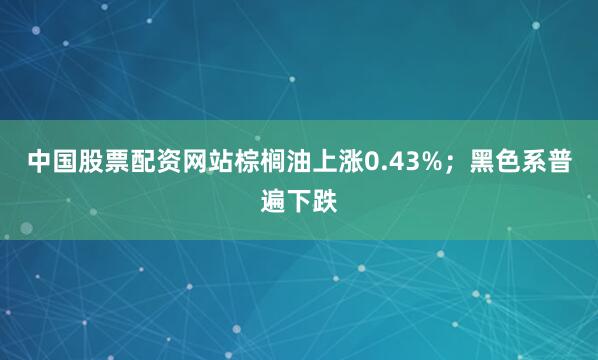 中国股票配资网站棕榈油上涨0.43%；黑色系普遍下跌