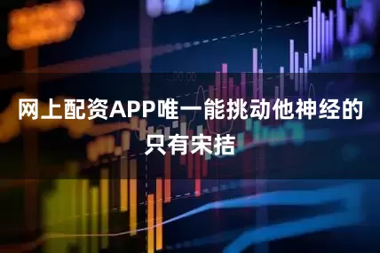 网上配资APP唯一能挑动他神经的只有宋拮