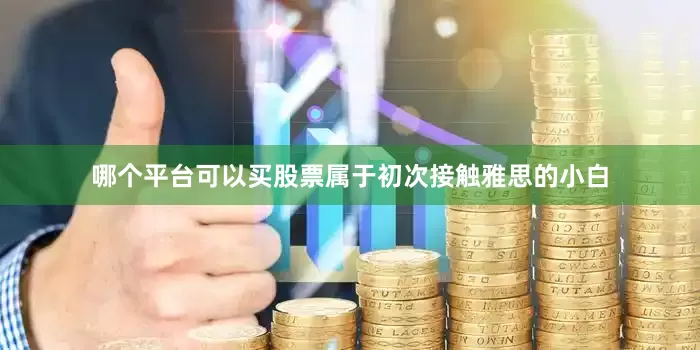哪个平台可以买股票属于初次接触雅思的小白