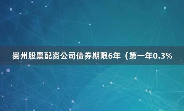 贵州股票配资公司债券期限6年（第一年0.3%