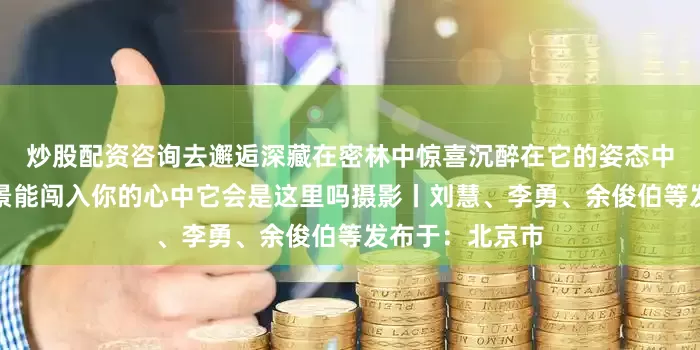 炒股配资咨询去邂逅深藏在密林中惊喜沉醉在它的姿态中总会有一处风景能闯入你的心中它会是这里吗摄影丨刘慧、李勇、余俊伯等发布于：北京市